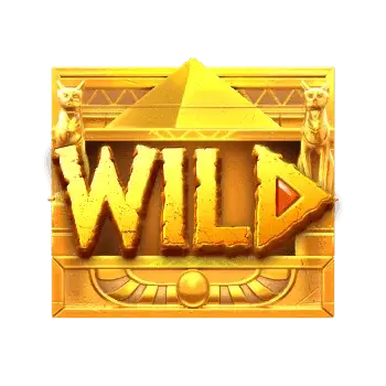 สัญลักษณ์ Wild